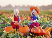 Fall Image