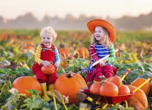 Fall Image