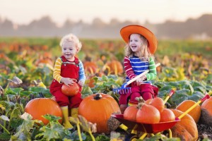 Fall Image